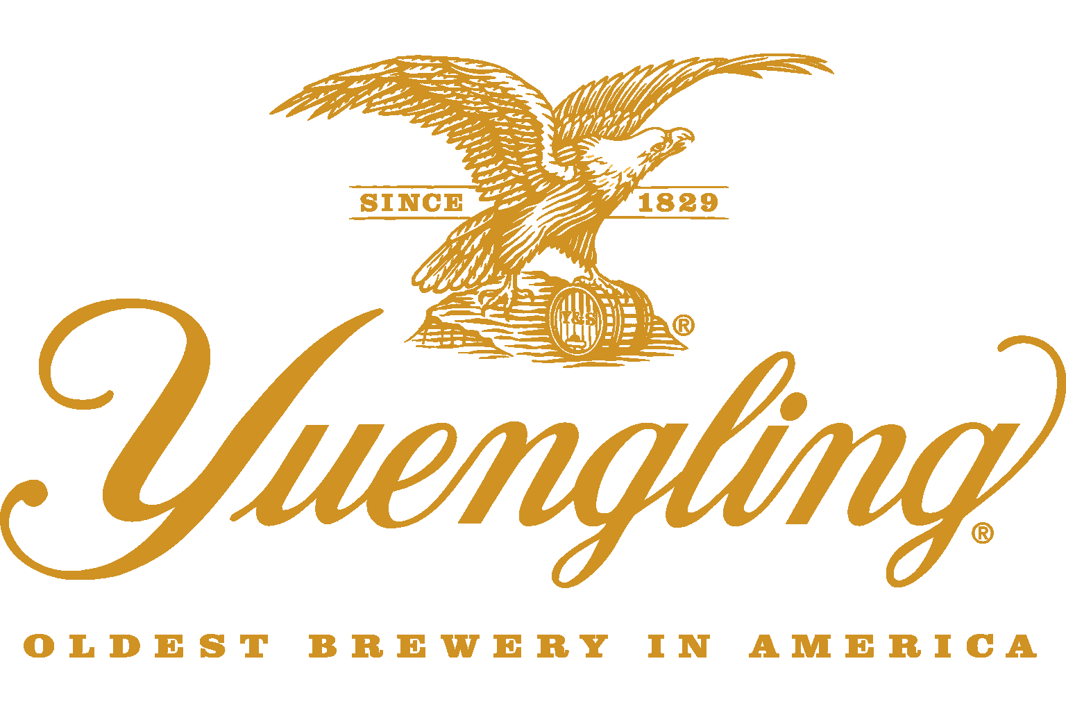 Yuengling